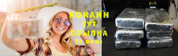 дмт Магас