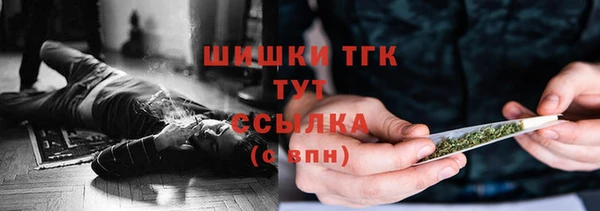 дмт Магас