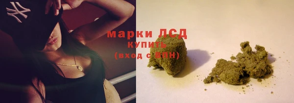 дмт Магас