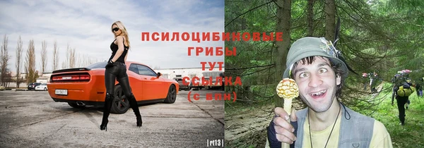 прущие крисы Магадан