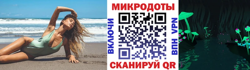 Купить закладки  Гусев  Галлюциногенные грибы Psilocybine cubensis 