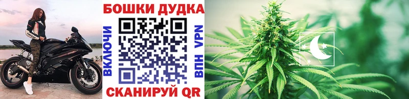 Конопля VHQ  Купить где  Гусев 